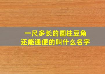 一尺多长的圆柱豆角还能通便的叫什么名字