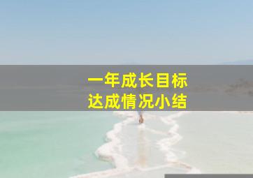 一年成长目标达成情况小结