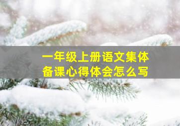 一年级上册语文集体备课心得体会怎么写