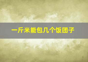 一斤米能包几个饭团子