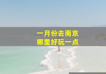 一月份去南京哪里好玩一点