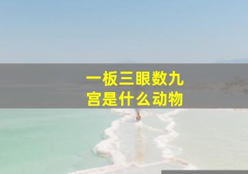 一板三眼数九宫是什么动物