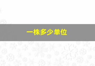 一株多少单位