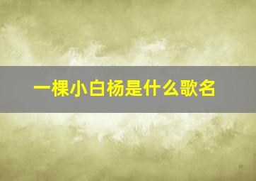 一棵小白杨是什么歌名