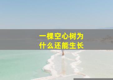 一棵空心树为什么还能生长