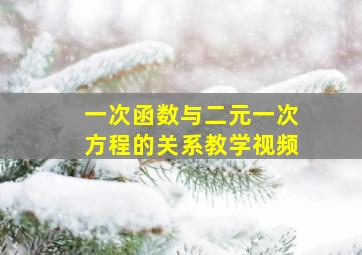 一次函数与二元一次方程的关系教学视频