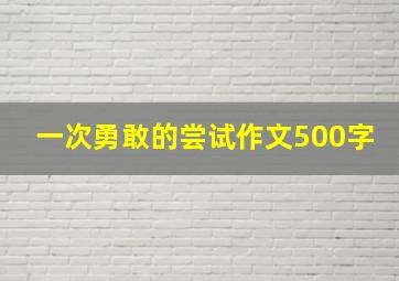 一次勇敢的尝试作文500字