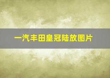 一汽丰田皇冠陆放图片