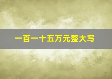 一百一十五万元整大写