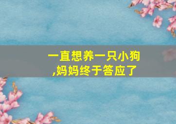 一直想养一只小狗,妈妈终于答应了