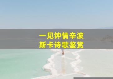 一见钟情辛波斯卡诗歌鉴赏