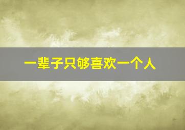 一辈子只够喜欢一个人