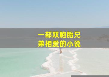 一部双胞胎兄弟相爱的小说