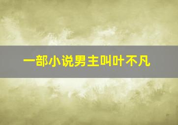 一部小说男主叫叶不凡