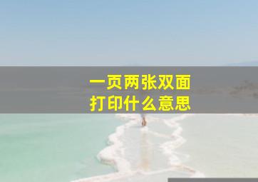 一页两张双面打印什么意思