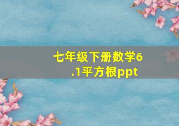 七年级下册数学6.1平方根ppt