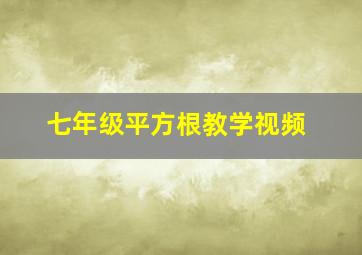 七年级平方根教学视频