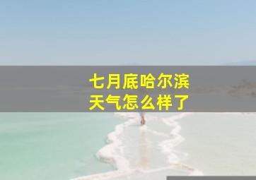 七月底哈尔滨天气怎么样了