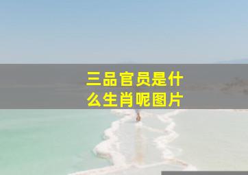 三品官员是什么生肖呢图片