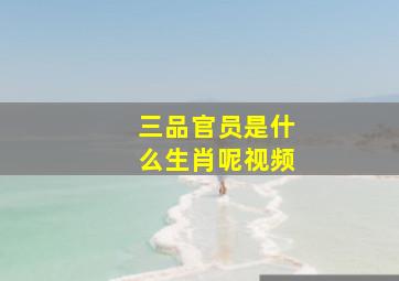 三品官员是什么生肖呢视频