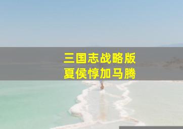 三国志战略版夏侯惇加马腾