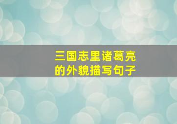 三国志里诸葛亮的外貌描写句子