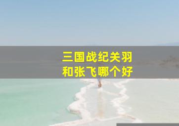 三国战纪关羽和张飞哪个好