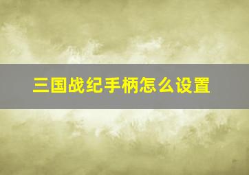 三国战纪手柄怎么设置