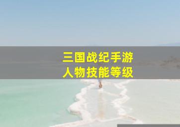 三国战纪手游人物技能等级