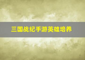 三国战纪手游英雄培养