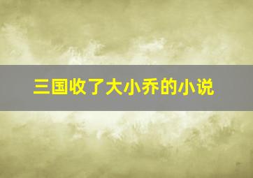 三国收了大小乔的小说