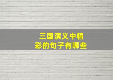 三国演义中精彩的句子有哪些