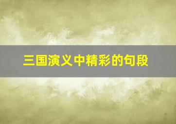 三国演义中精彩的句段