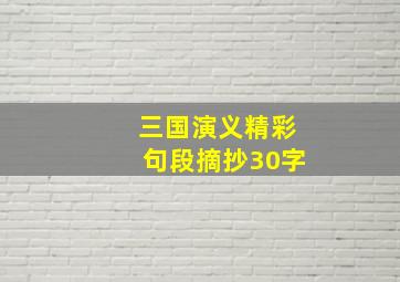 三国演义精彩句段摘抄30字