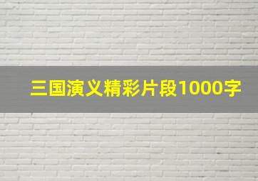 三国演义精彩片段1000字