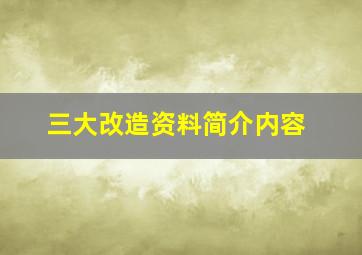 三大改造资料简介内容