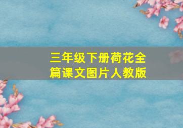 三年级下册荷花全篇课文图片人教版