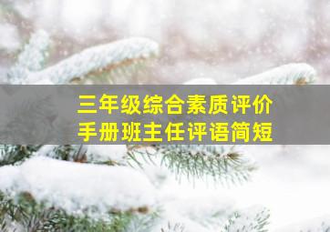 三年级综合素质评价手册班主任评语简短