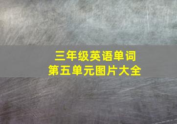 三年级英语单词第五单元图片大全