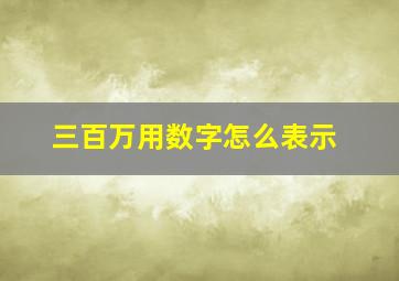 三百万用数字怎么表示