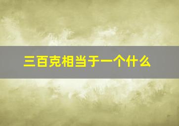 三百克相当于一个什么