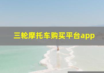 三轮摩托车购买平台app