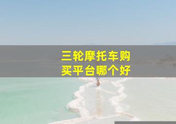 三轮摩托车购买平台哪个好