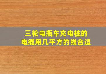 三轮电瓶车充电桩的电缆用几平方的线合适