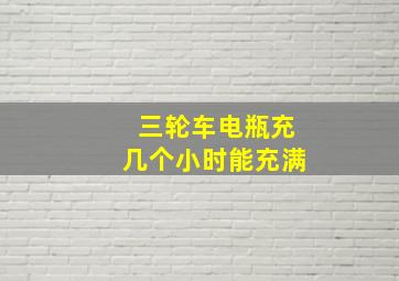 三轮车电瓶充几个小时能充满