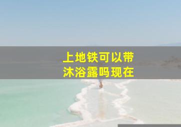 上地铁可以带沐浴露吗现在