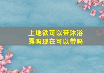 上地铁可以带沐浴露吗现在可以带吗