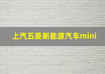 上汽五菱新能源汽车mini