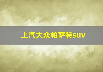 上汽大众帕萨特suv