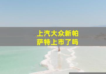 上汽大众新帕萨特上市了吗